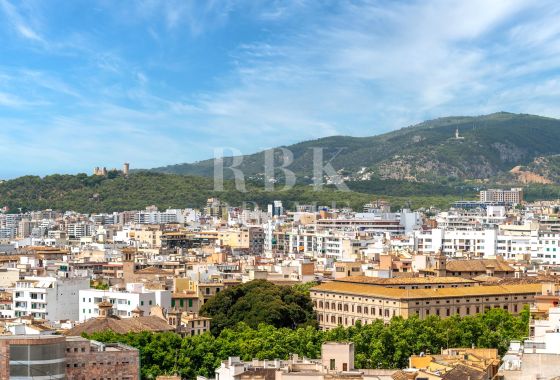 Penthouse · Available - Palma