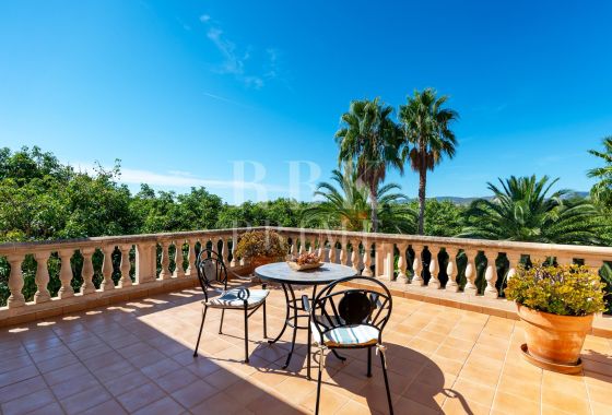 Country property · Available - Palma