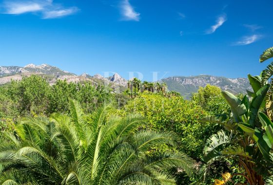 Country property · Available - Palma