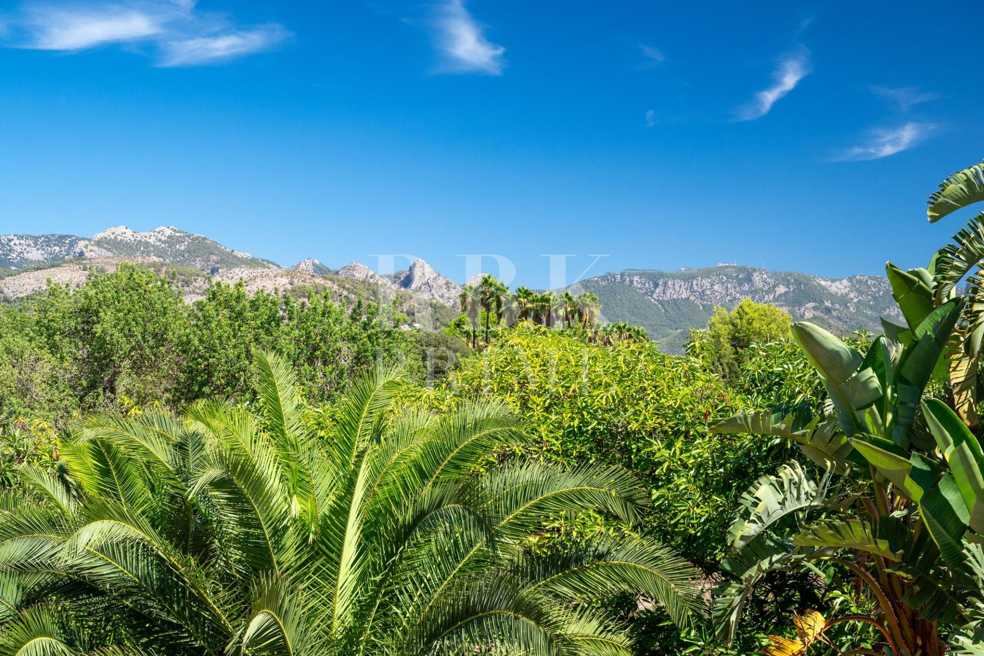 Available - Country property - Palma