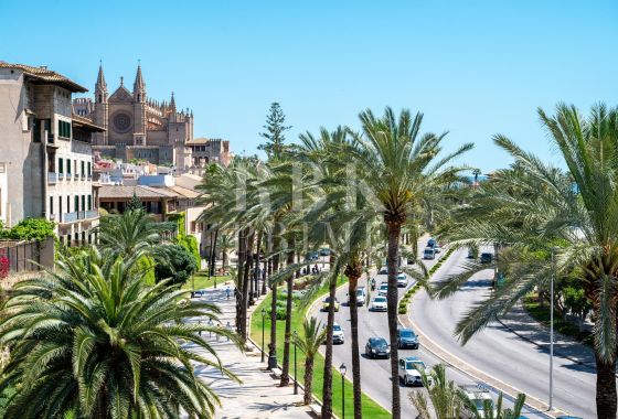 Apartment · Available - Palma