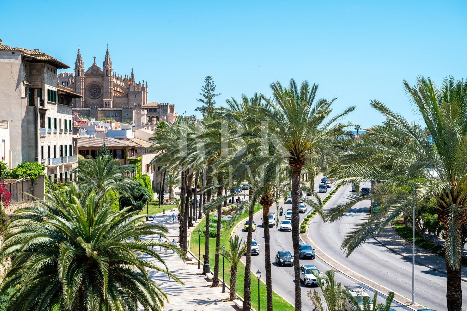 Available - Apartment - Palma