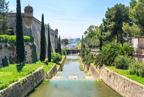 Apartment · Available - Palma