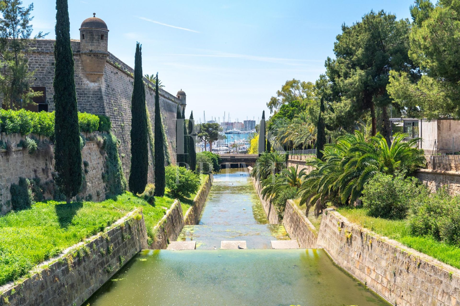 Available - Apartment - Palma