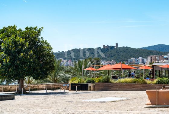 Apartment · Available - Palma