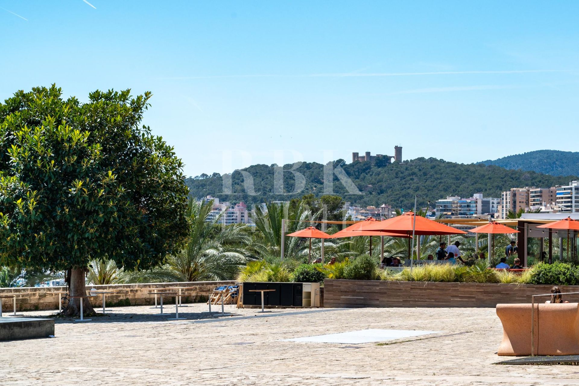 Available - Apartment - Palma