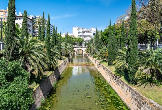 Apartment · Available - Palma