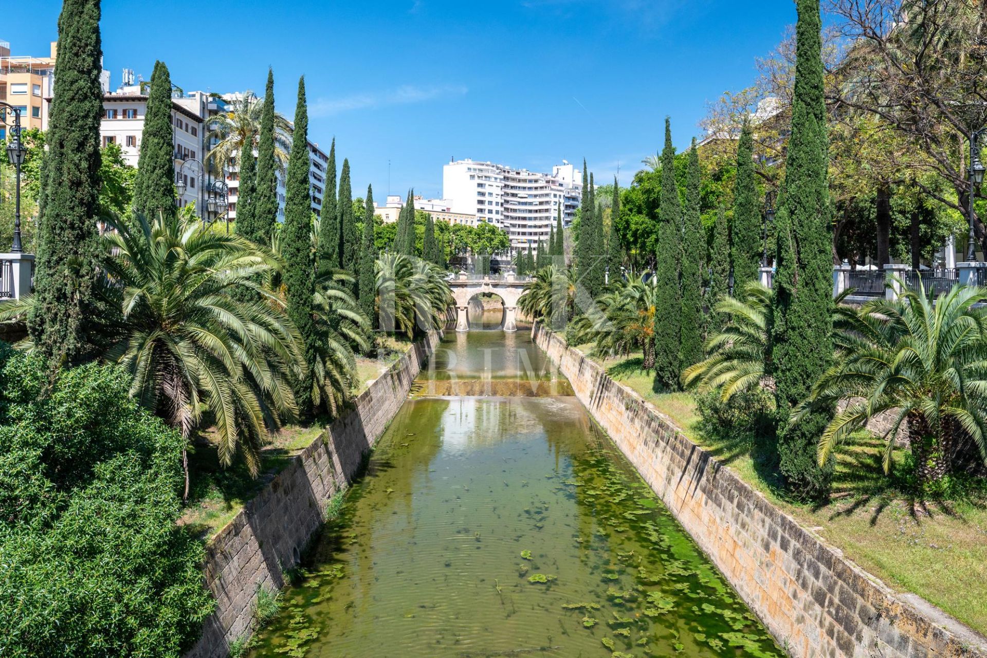 Available - Apartment - Palma