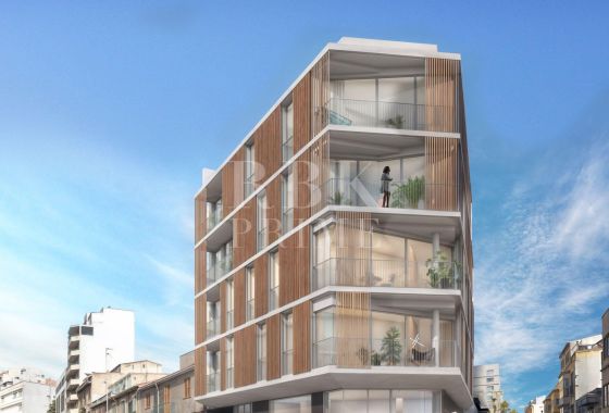 Available - Business - Palma