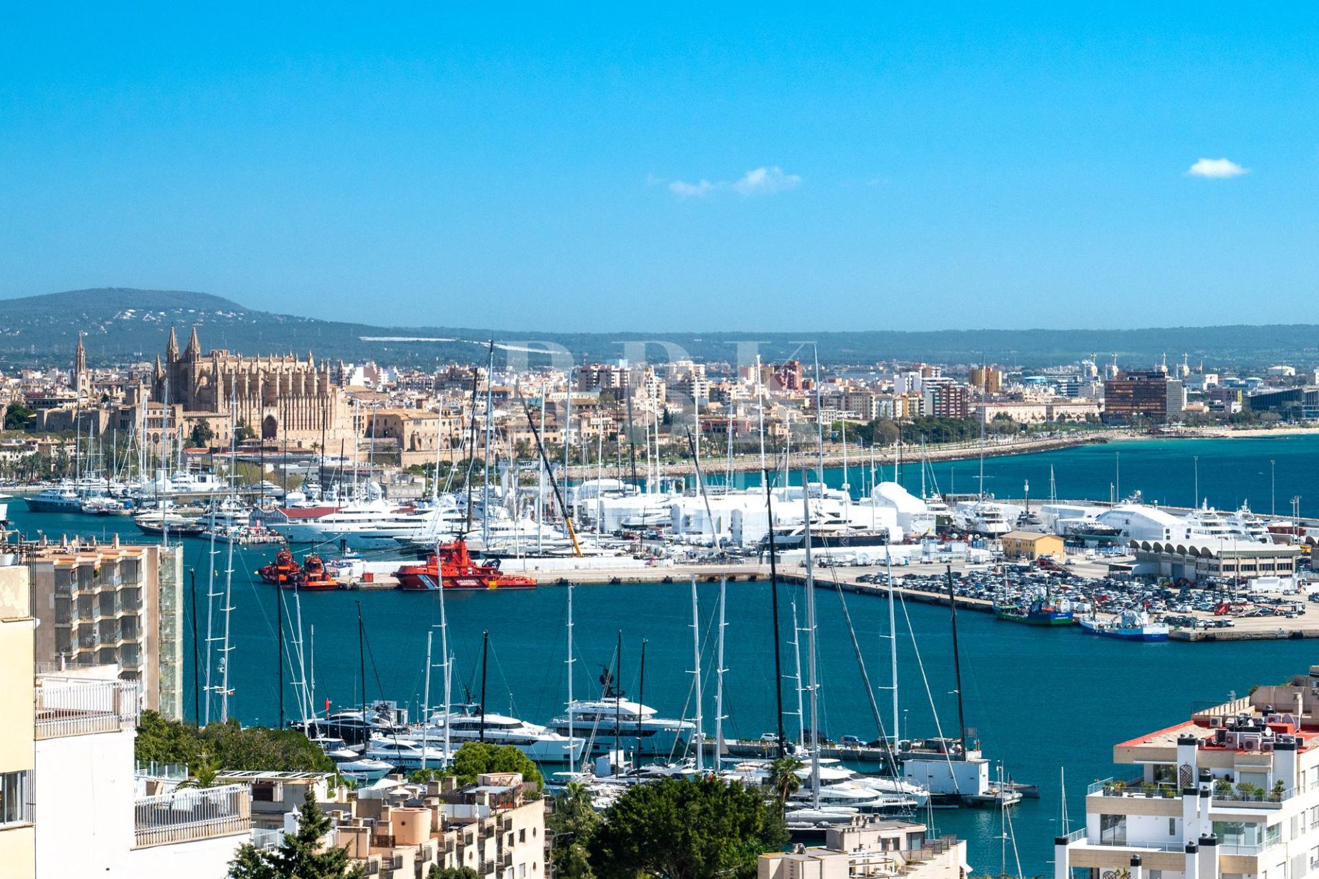 Available - Palace - Palma
