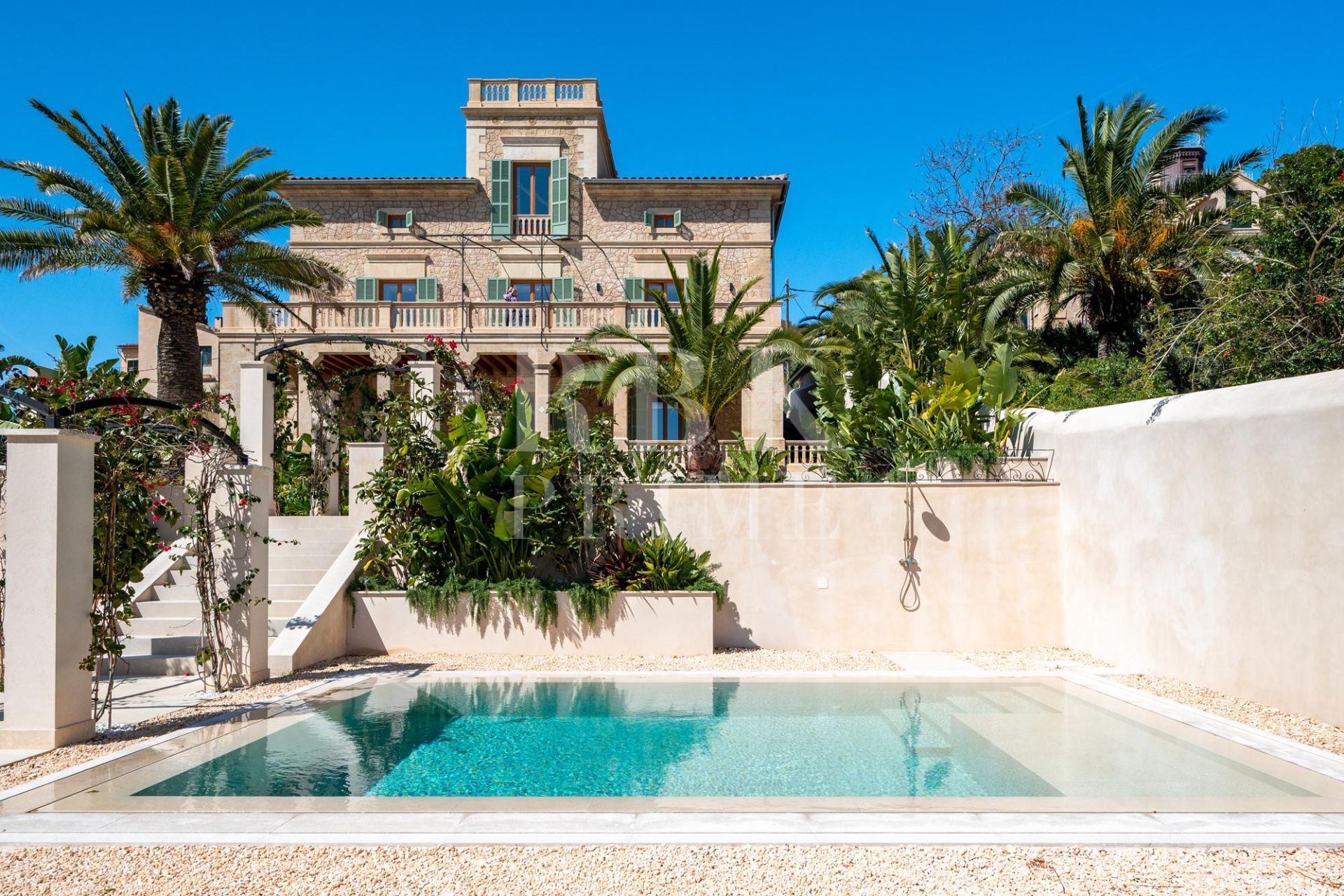 Available - Palace - Palma