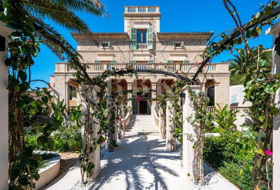 Palace · Available - Palma
