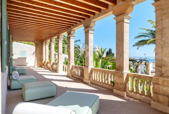 Palace · Available - Palma