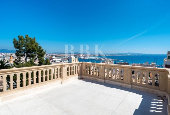 Palace · Available - Palma