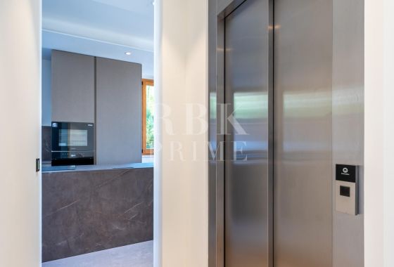 Palace · Available - Palma