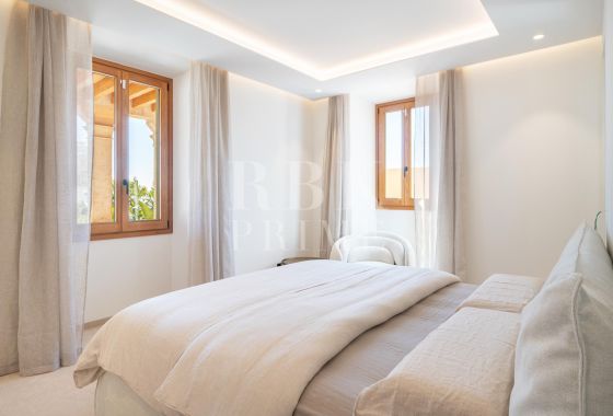 Palace · Available - Palma