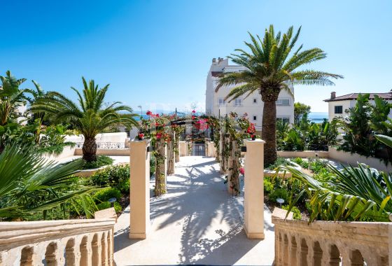 Palace · Available - Palma