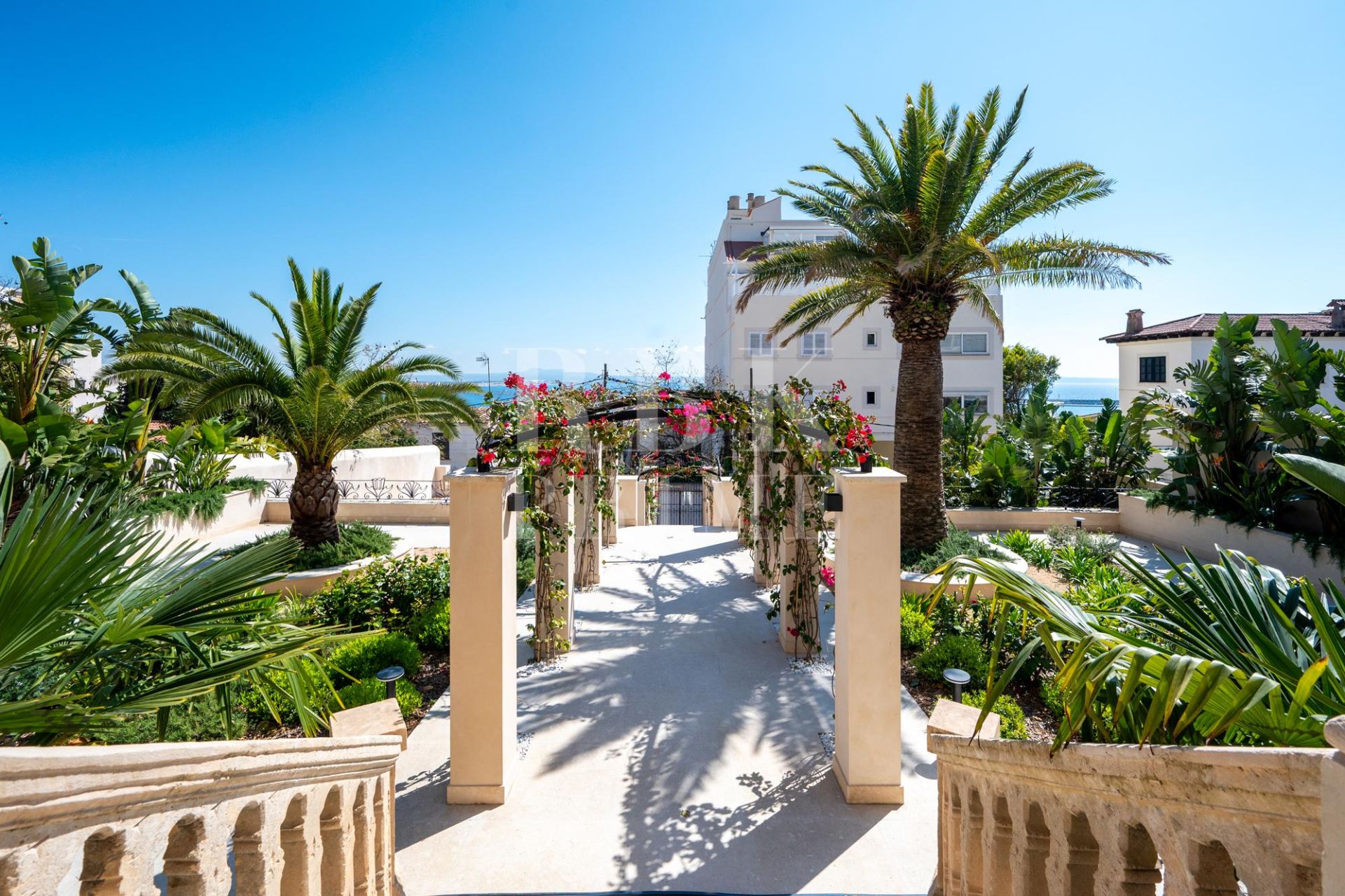 Available - Palace - Palma