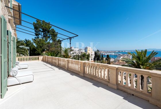 Palace · Available - Palma