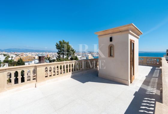Palace · Available - Palma