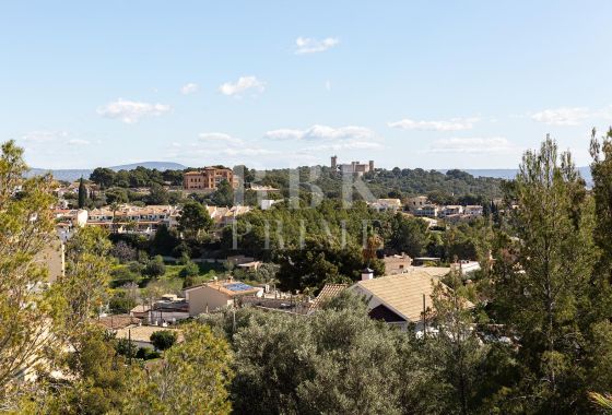 Villa · Available - Palma