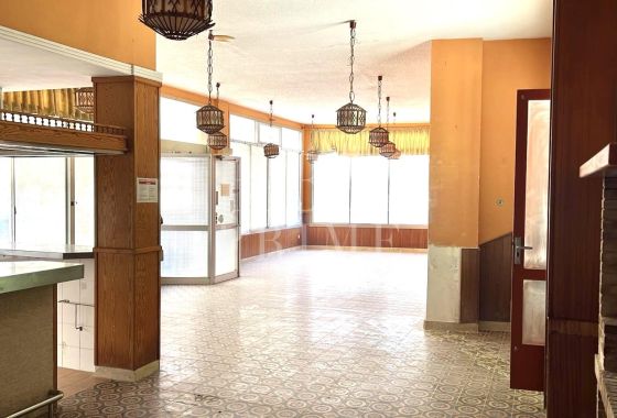 Available - Business - Palma