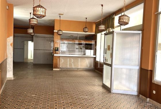 Available - Business - Palma