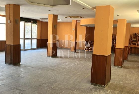 Available - Business - Palma