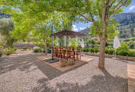 Available - Country property - Esporles