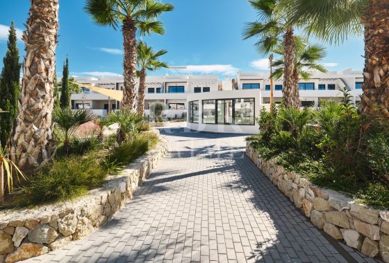 Apartment · Available - Alicante