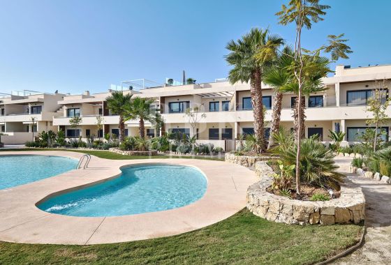 Ground floor · Available - Alicante