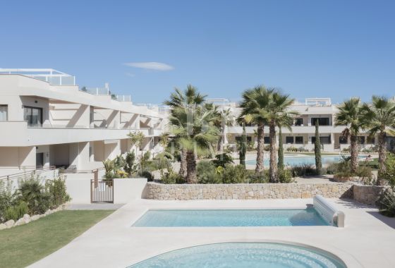 Ground floor · Available - Alicante