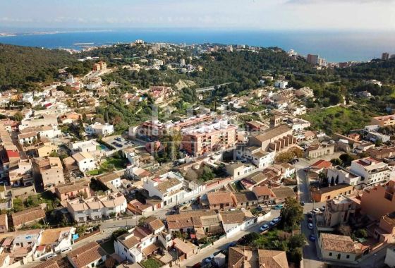 Available - Apartment - Palma