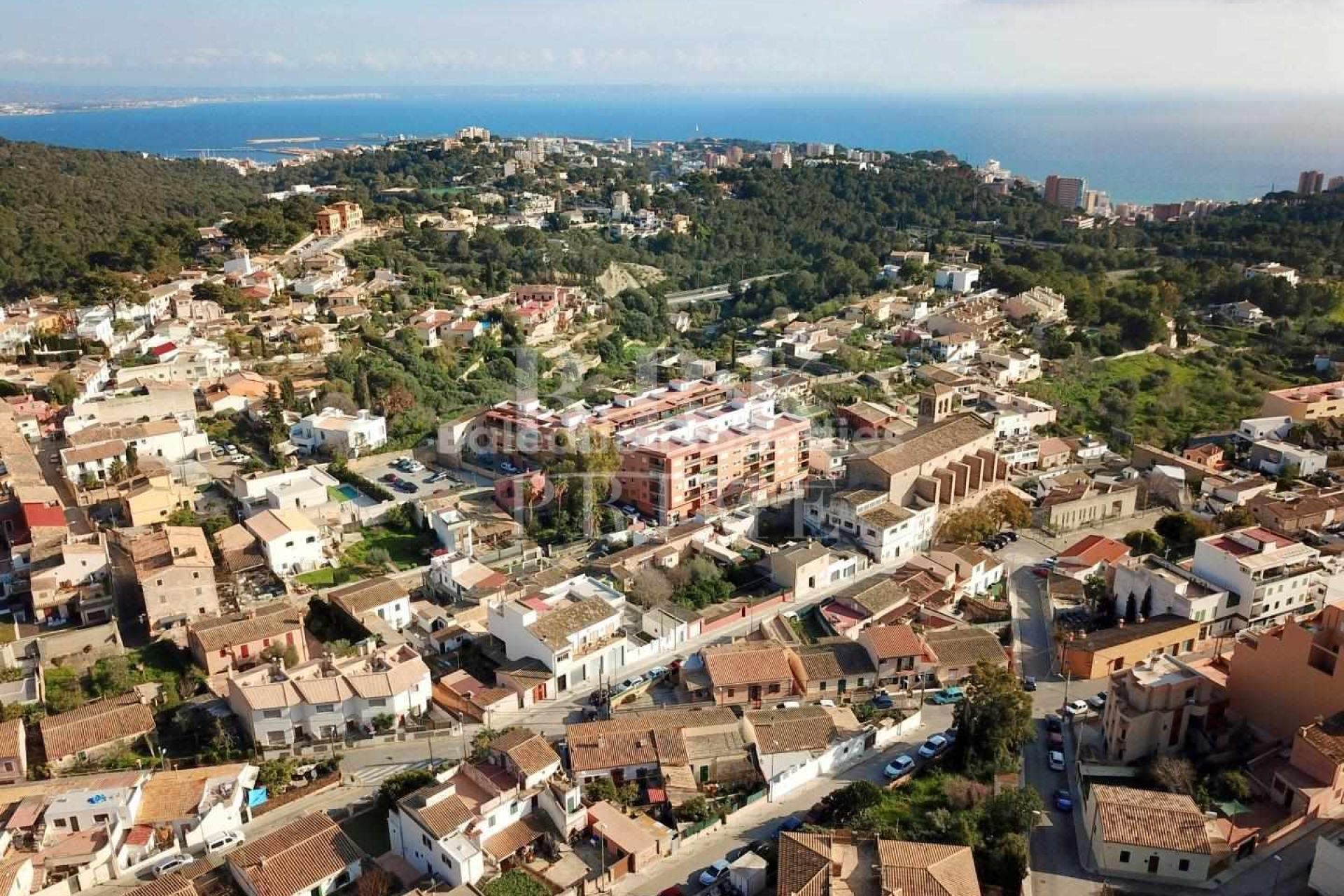 Available - Apartment - Palma