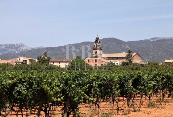 Investment building · Available - Santa Maria