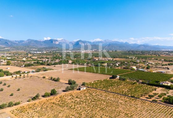 Available - Country property - Santa Maria