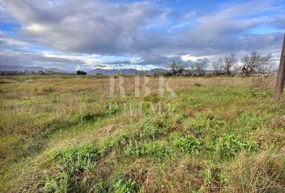 Available - Urban plot - Alcudia