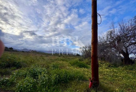 Available - Urban plot - Alcudia