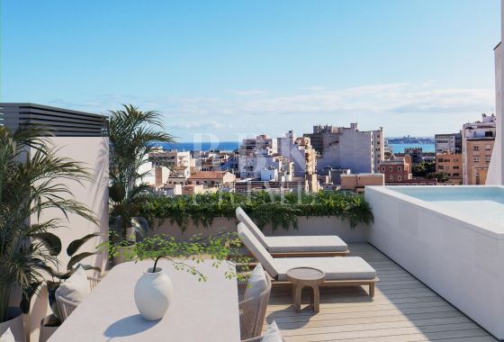 Apartment · Available - Palma