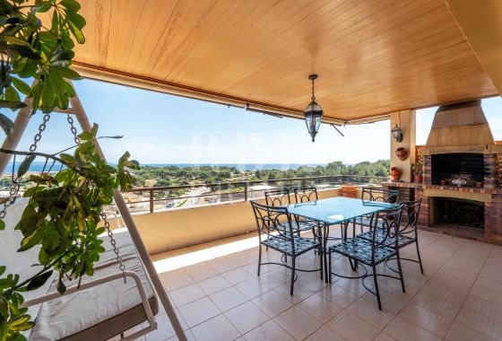 Penthouse · Available - Palma