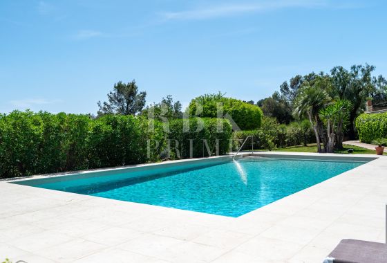 Penthouse · Available - Palma
