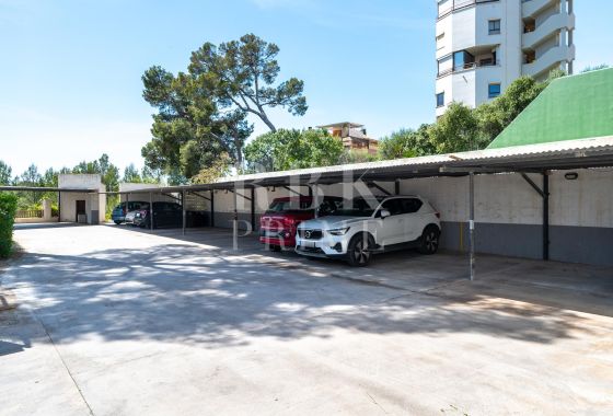 Penthouse · Available - Palma