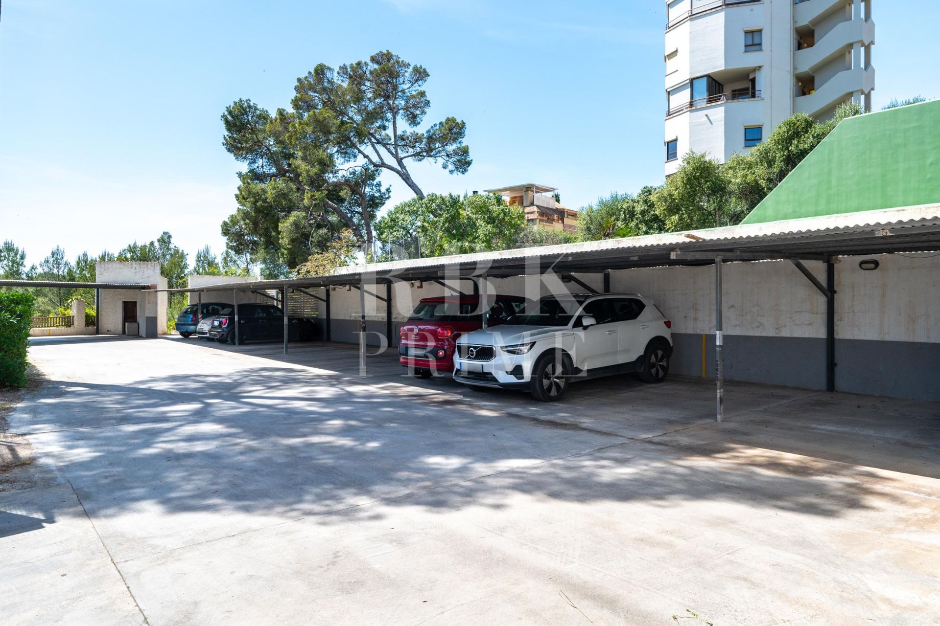 Available - Penthouse - Palma