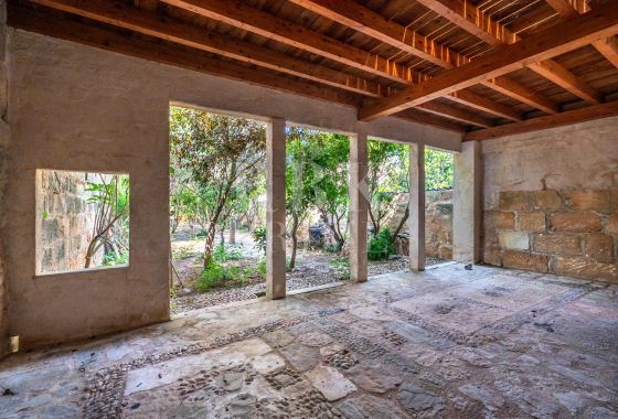 Available - Townhouse - Petra