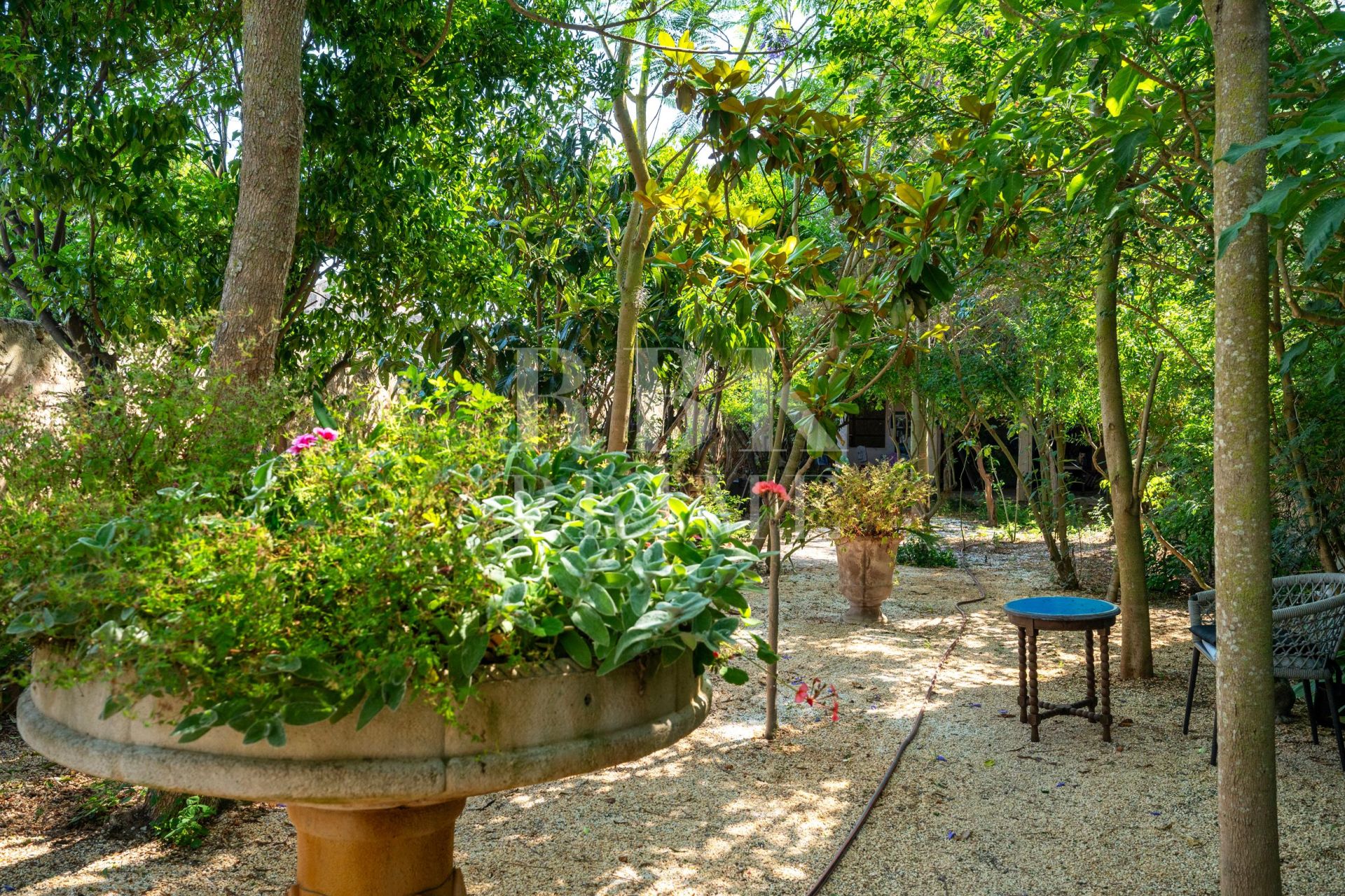 Available - Townhouse - Petra