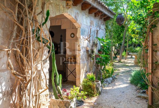Available - Townhouse - Petra