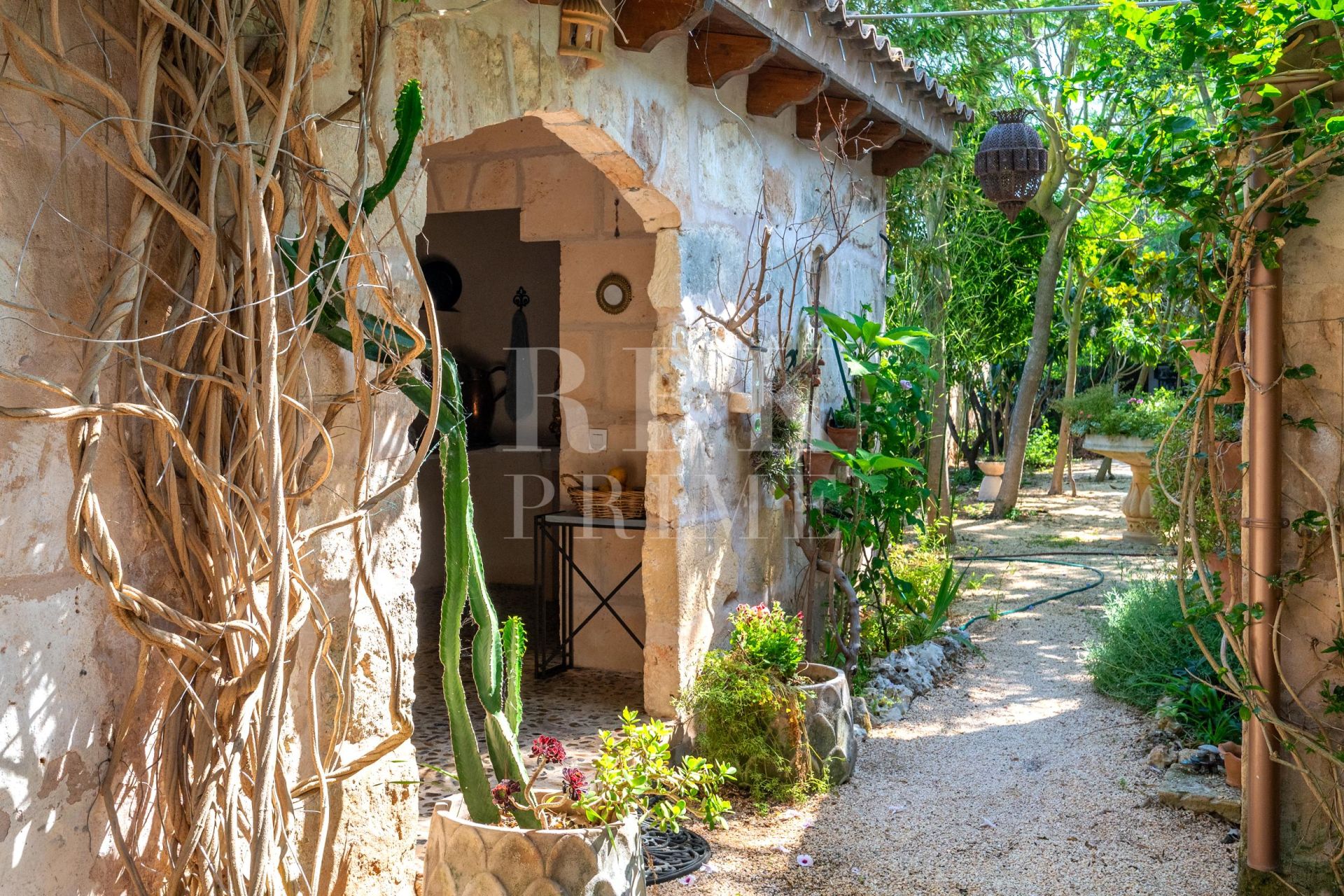 Available - Townhouse - Petra