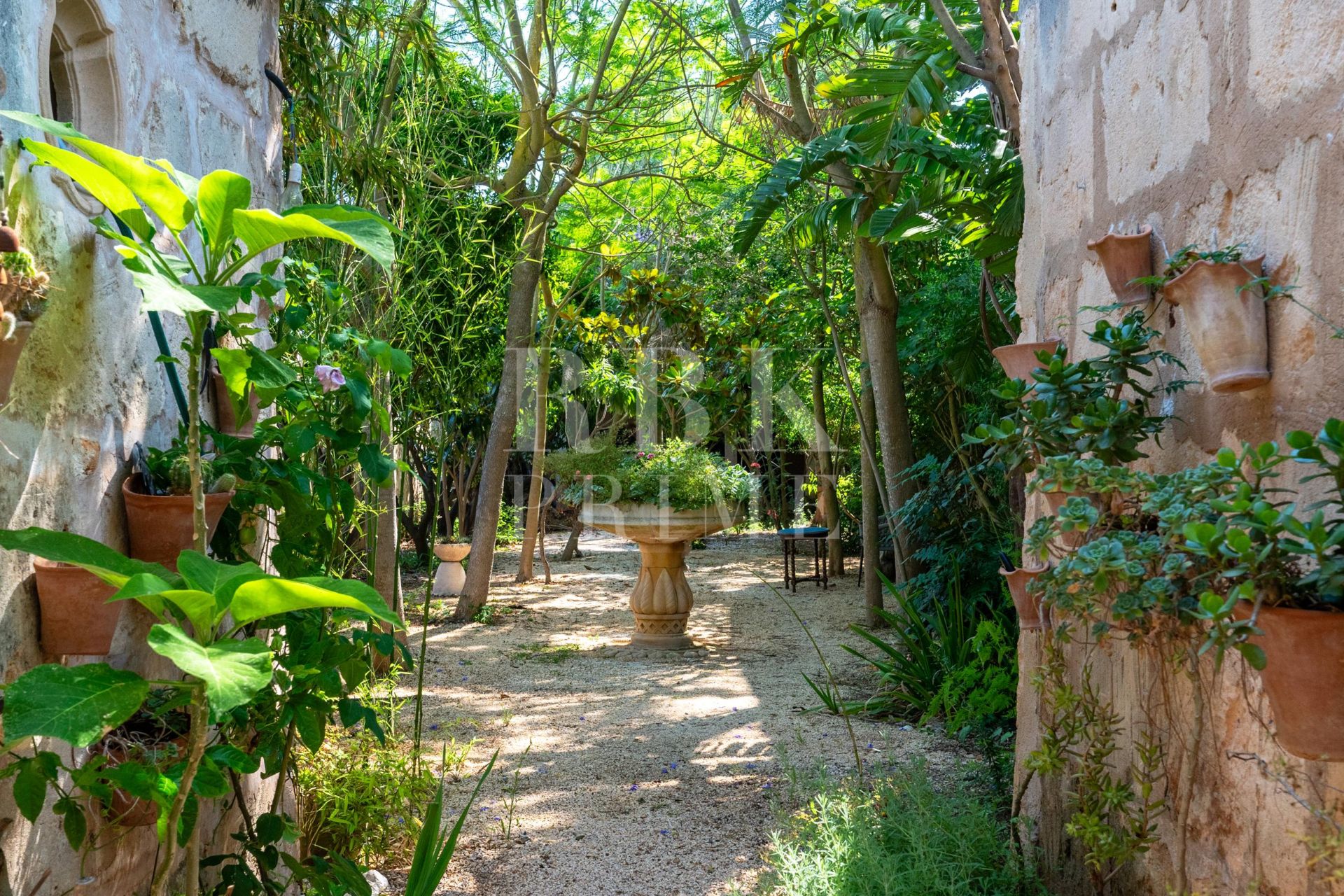 Available - Townhouse - Petra