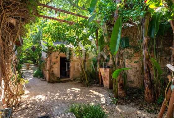 Available - Townhouse - Petra