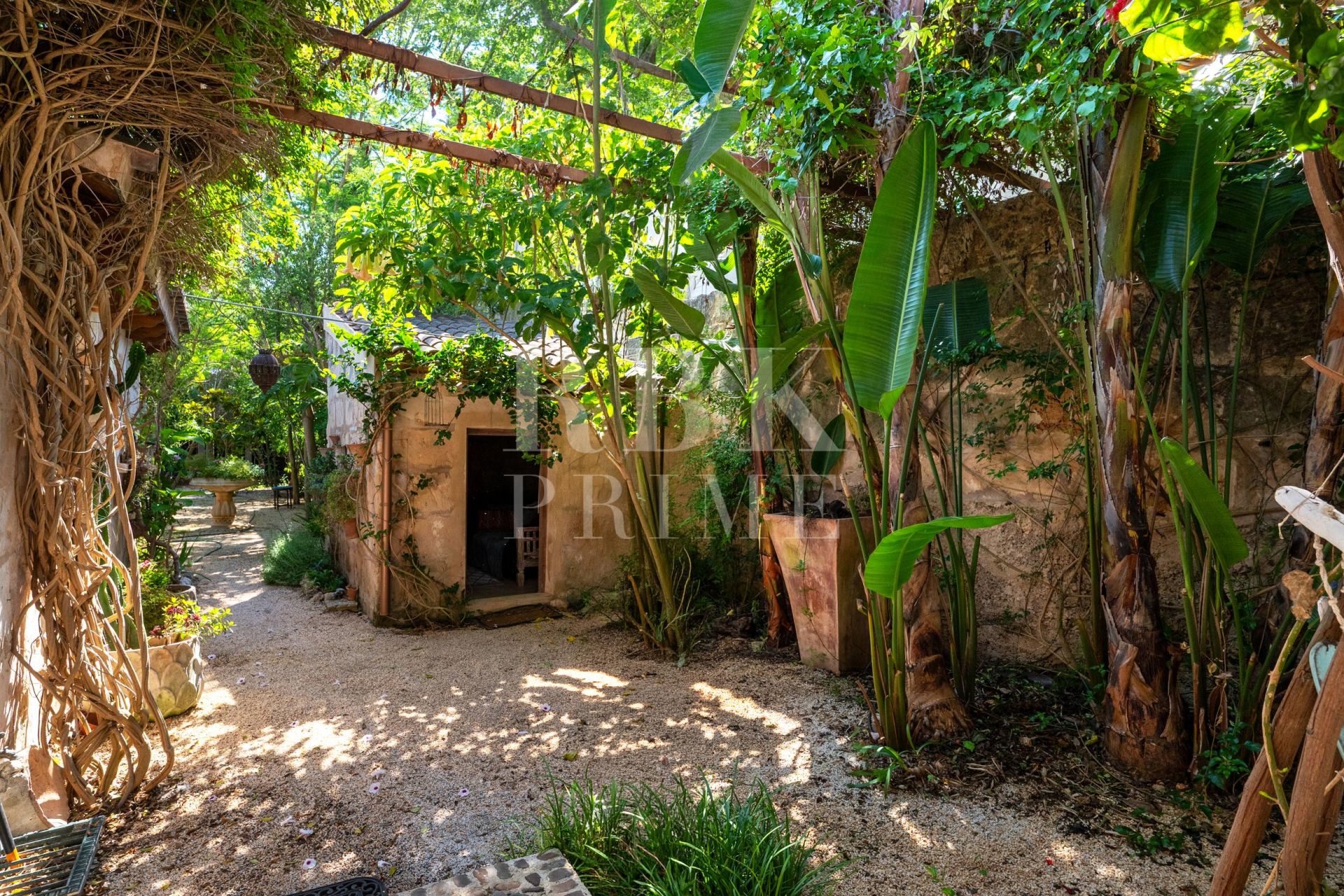 Available - Townhouse - Petra